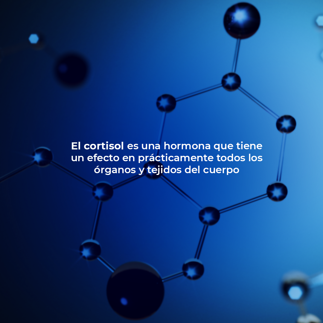 Slide44